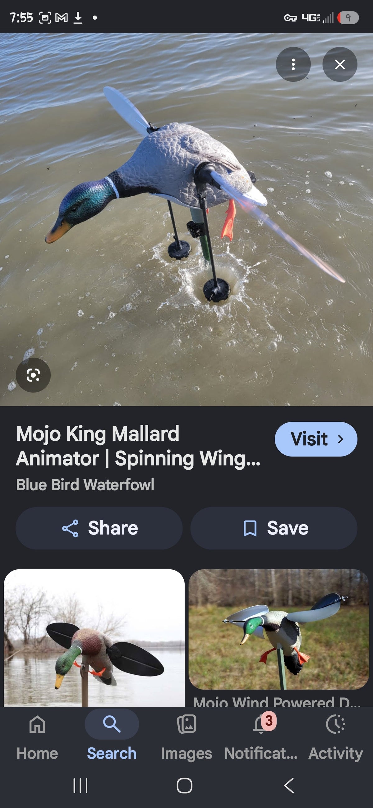 Motion decoys - SNOODBANGER customs
