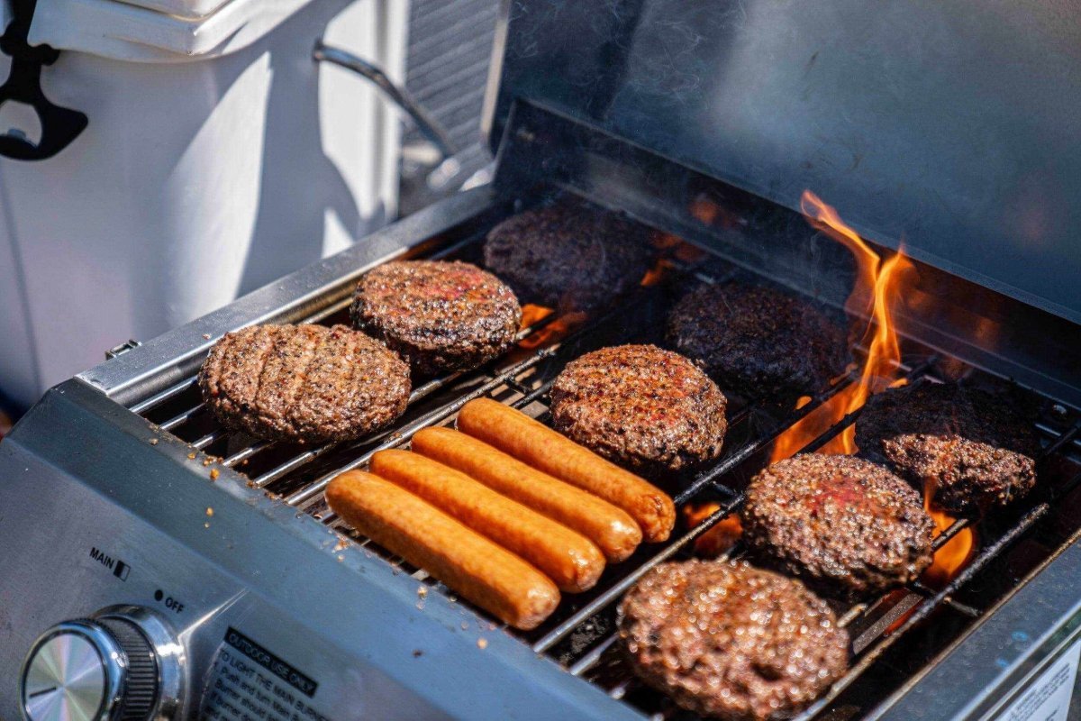 13742 | Stainless Tabletop Propane Gas Grill - SNOODBANGER customs