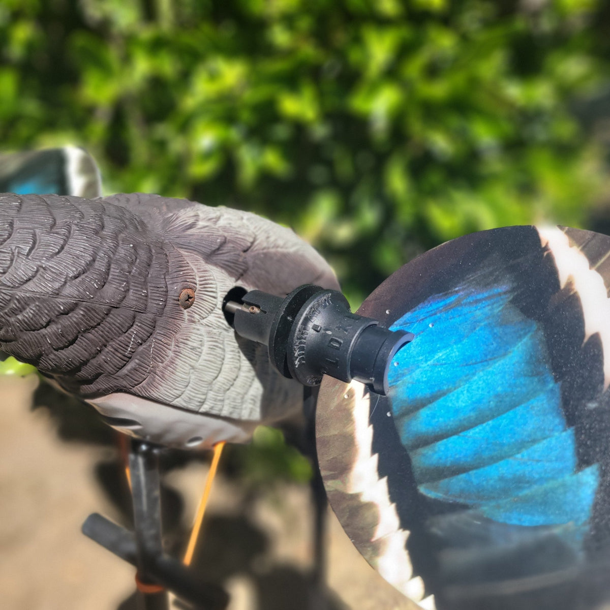 Animator V2 for Super Lucky Duck - SNOODBANGER customs