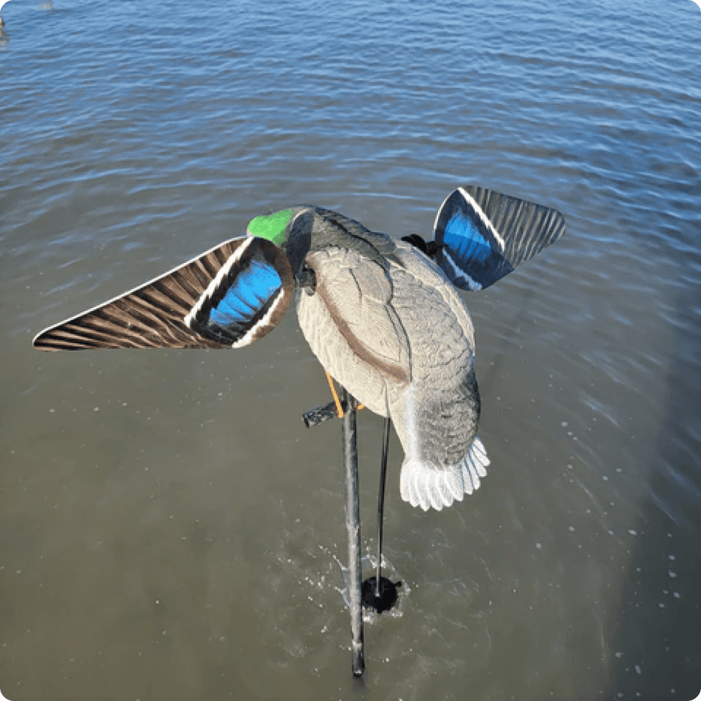 Animator V2 for Super Lucky Duck - SNOODBANGER customs