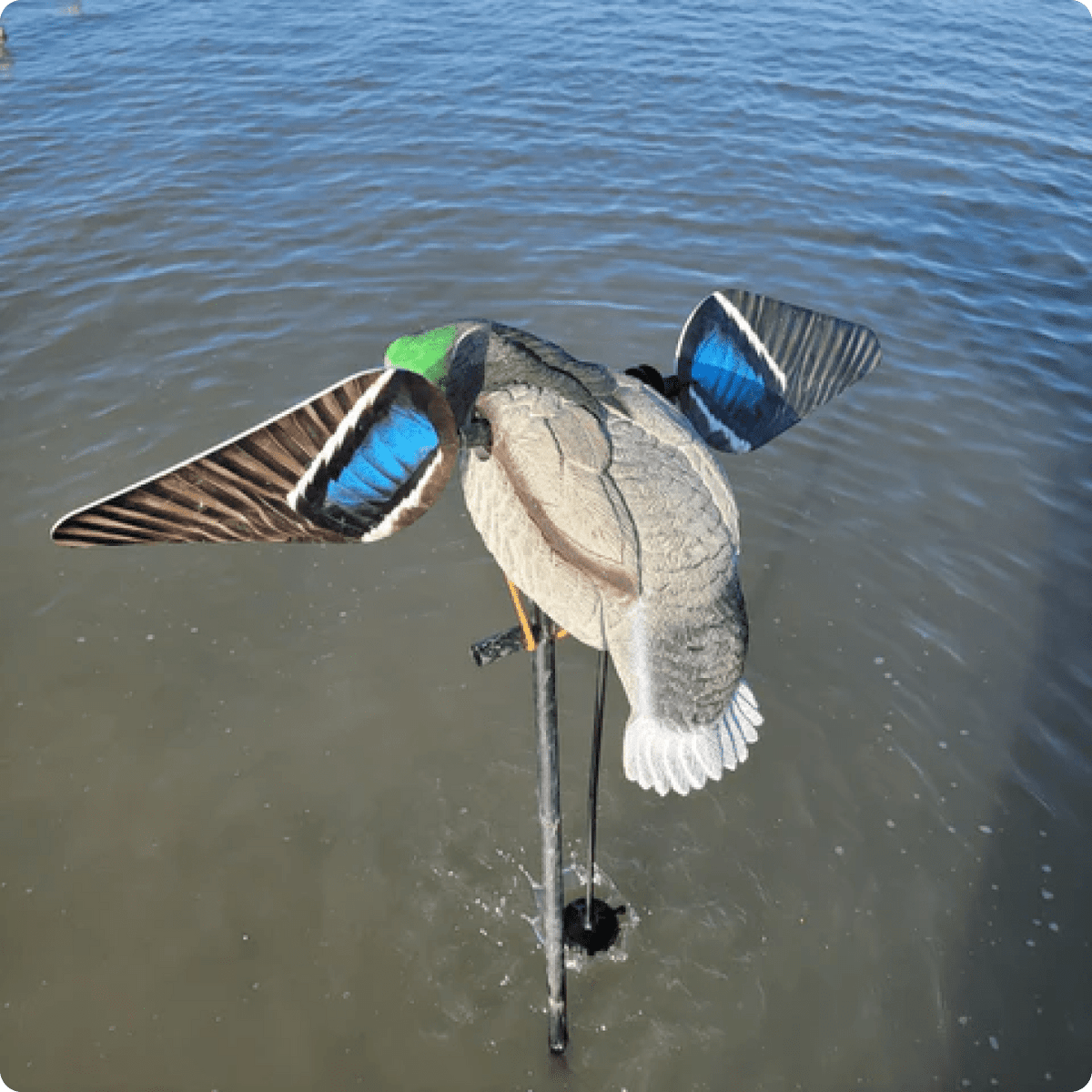 Animator V2 for Super Lucky Duck - SNOODBANGER customs