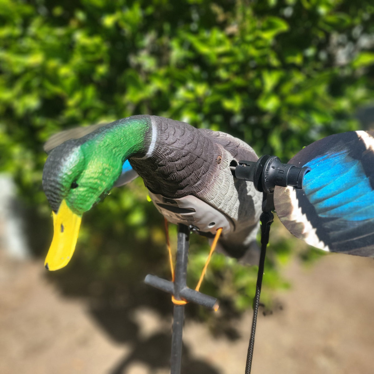 Animator V2 for Super Lucky Duck - SNOODBANGER customs
