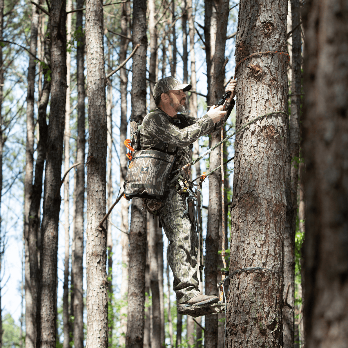 BOTTOMLAND: Tree Hugger (Regular or Mini Size) - SNOODBANGER customs