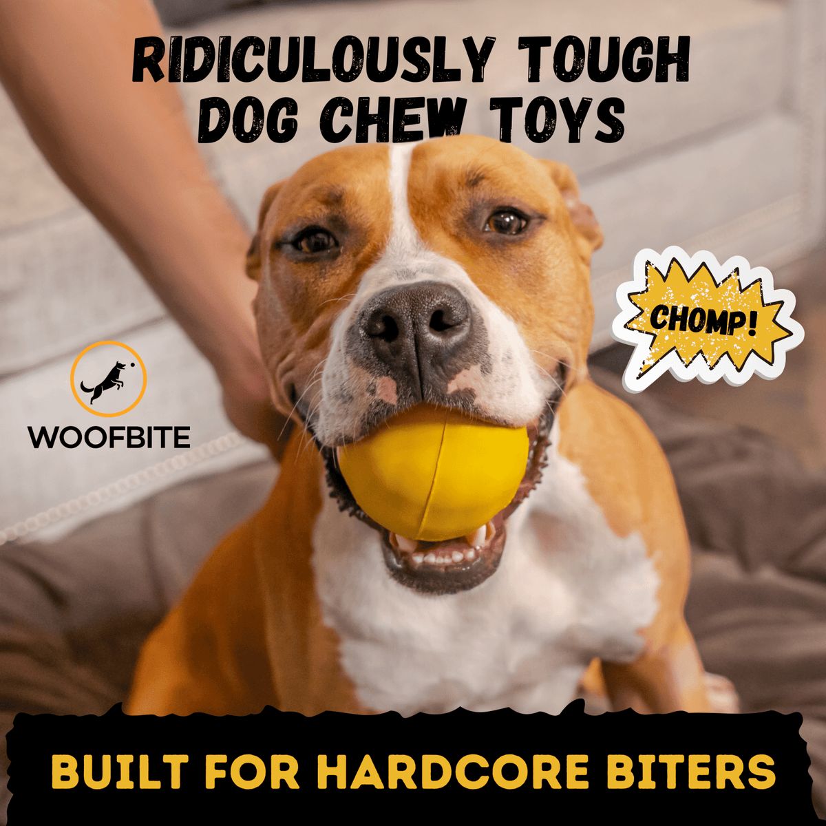 Brute Ball™ - SNOODBANGER customs