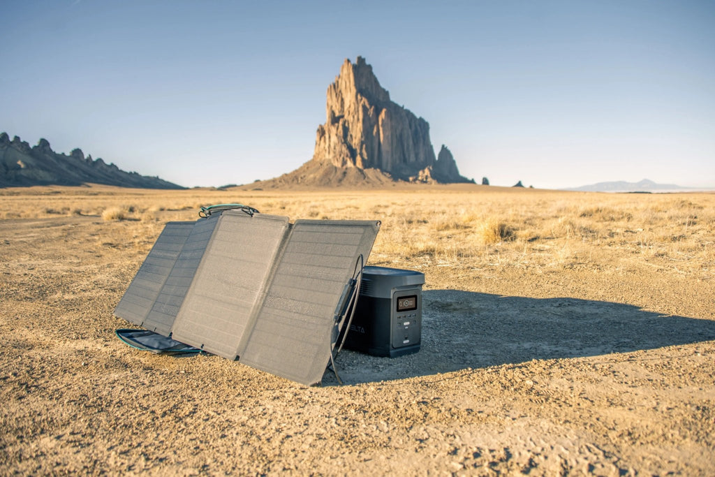 EcoFlow 110W Portable Solar Panel - SNOODBANGER customs