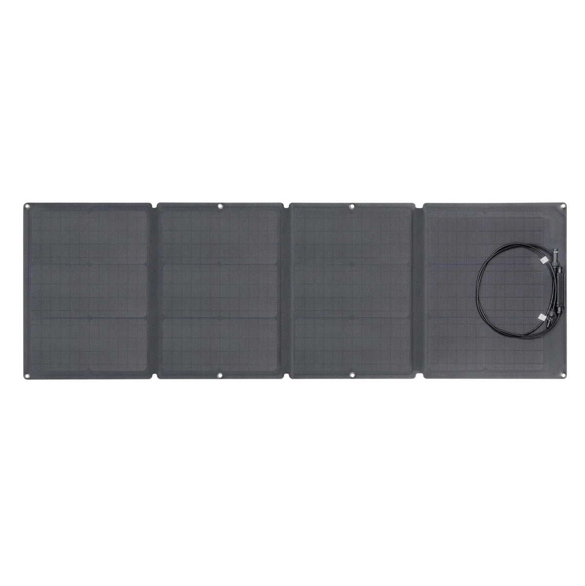 EcoFlow 110W Portable Solar Panel - SNOODBANGER customs