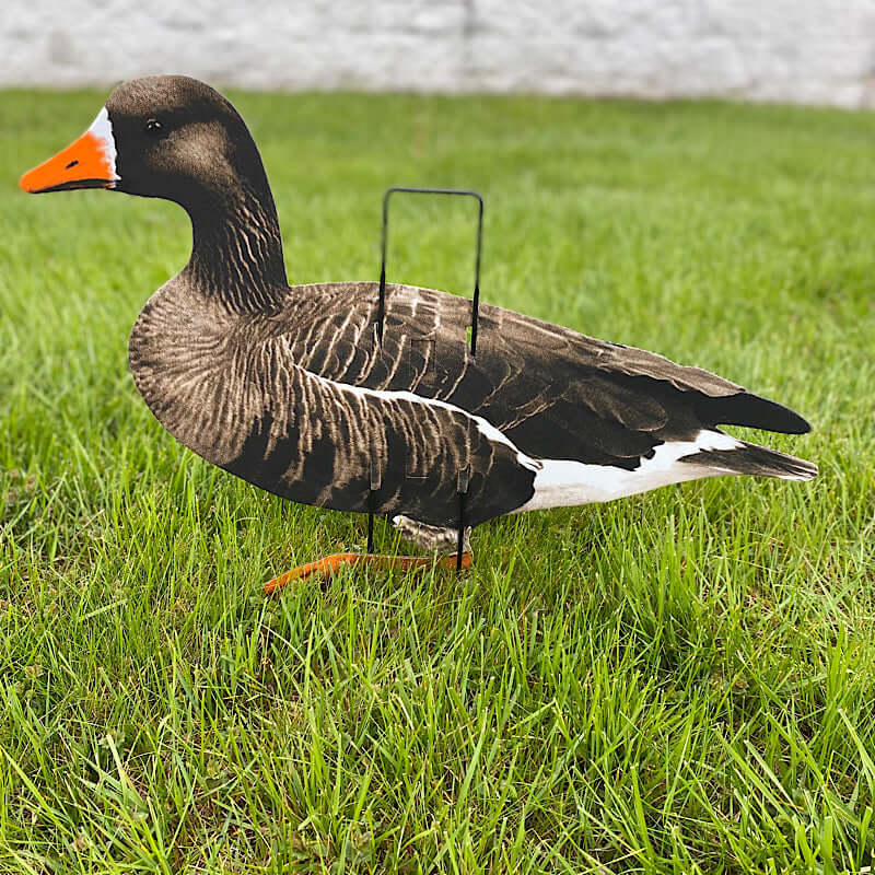 Econo Specklebelly Decoys - SNOODBANGER customs