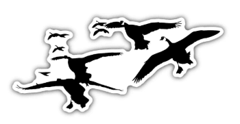 Goose Hunting Stickers – 5pc Waterfowl Decal Pack for Trucks & Gear - SNOODBANGER customs