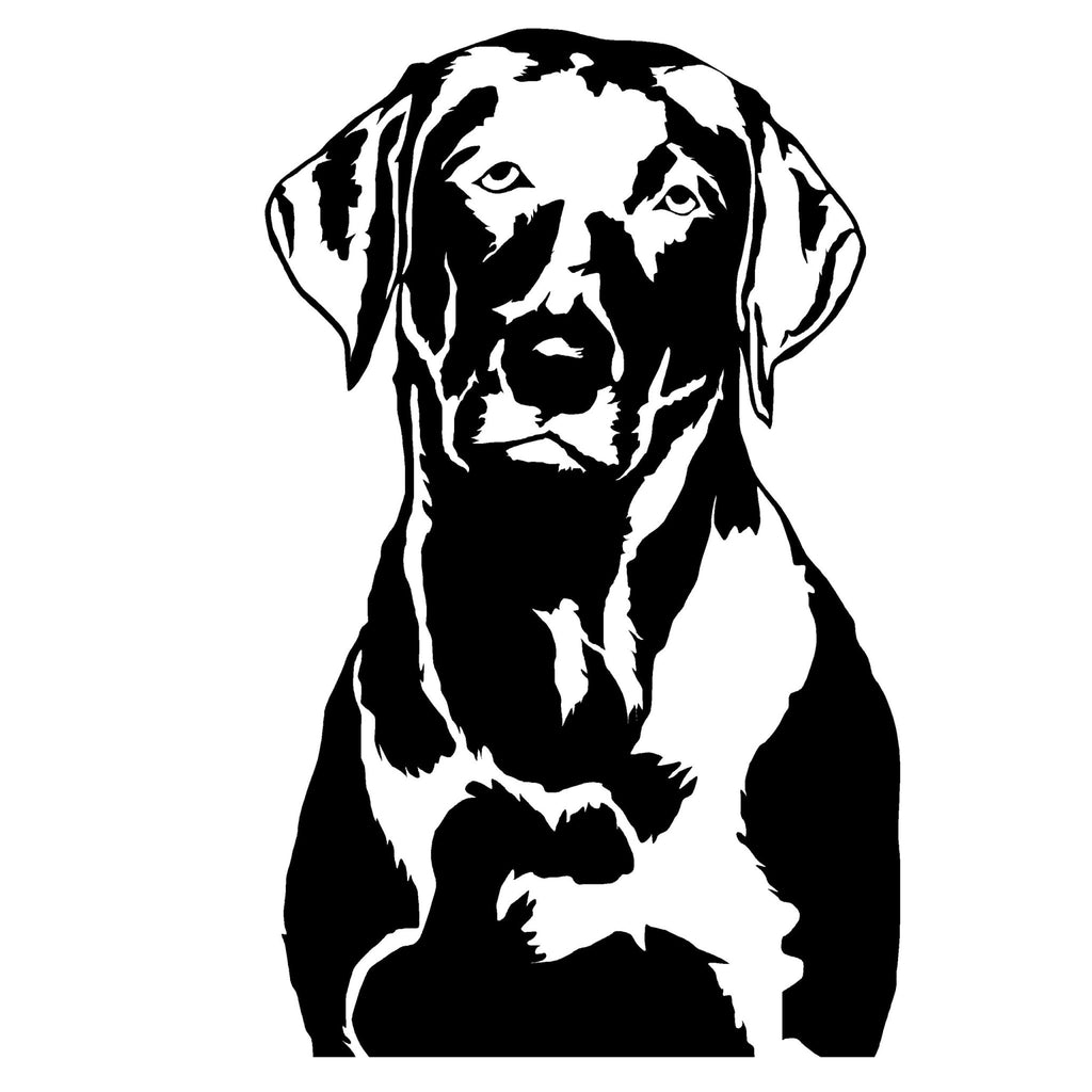 Labrador Head Decal – Black Lab Detailed Window Sticker – 3530 - SNOODBANGER customs