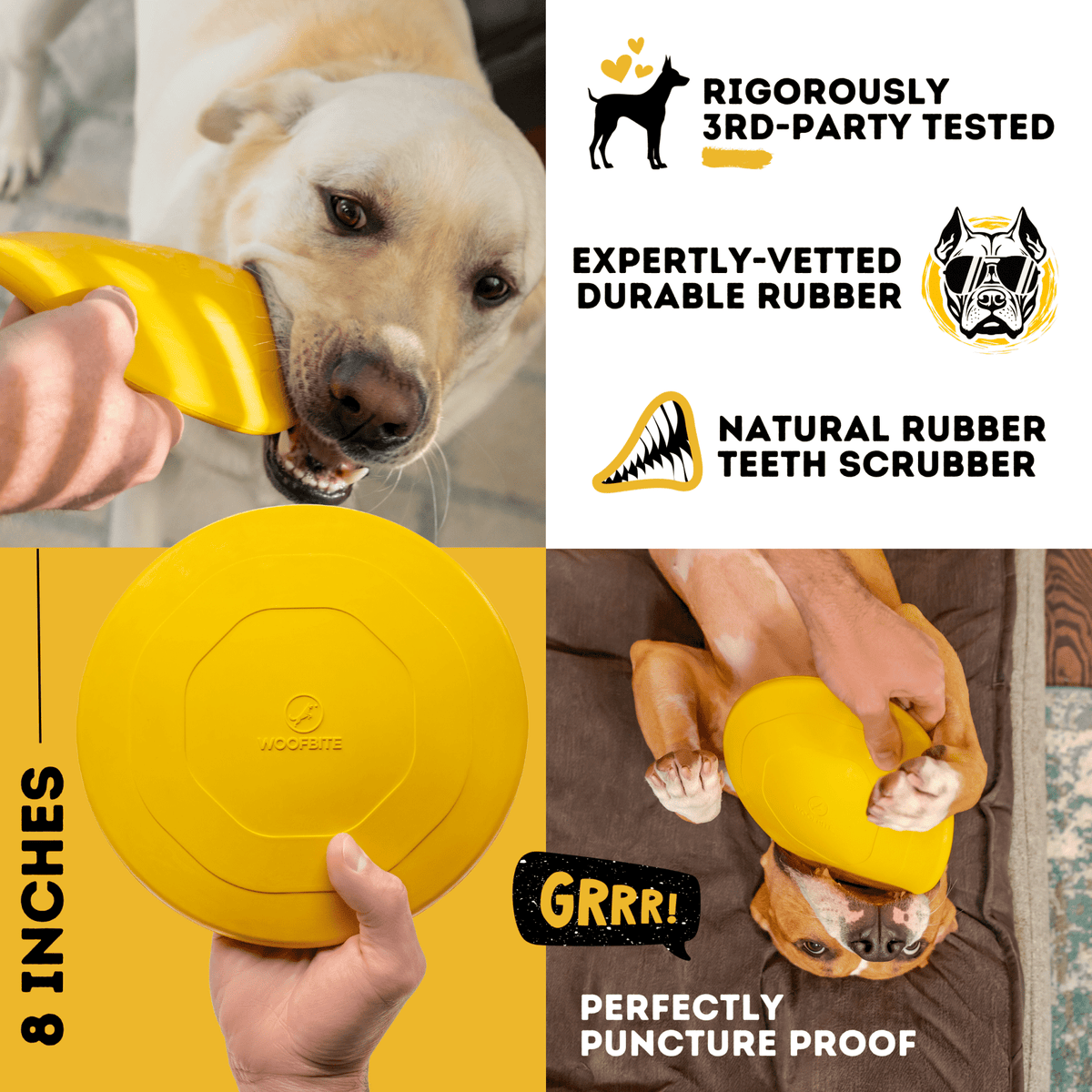Launch Disc™ - SNOODBANGER customs