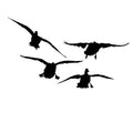 Mallards Committed Duck Hunting Decal - Mallard Duck Hunting Sticker - 5101 - SNOODBANGER customs