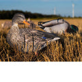 Pro II Lite Mallards - SNOODBANGER customs