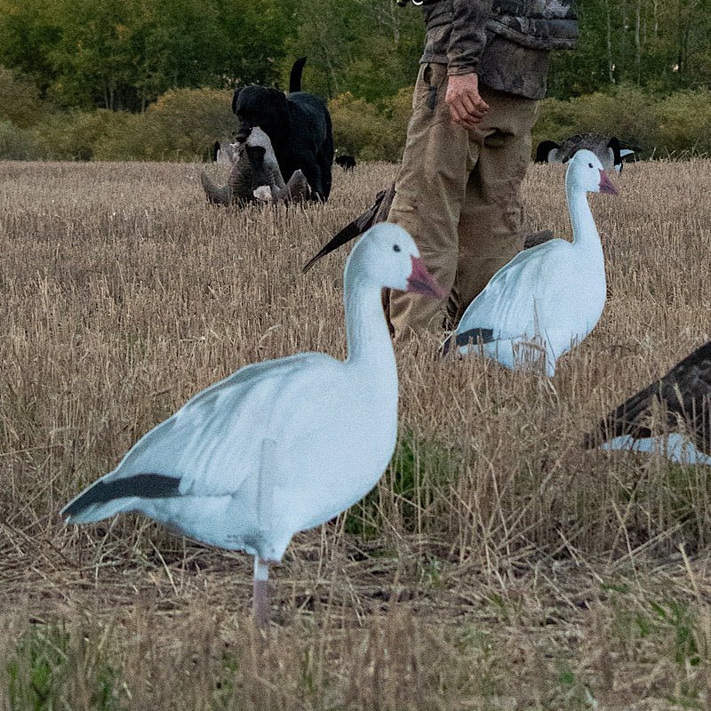 Pro Series II Snow Geese - SNOODBANGER customs