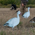 Pro Series II Snow Geese - SNOODBANGER customs