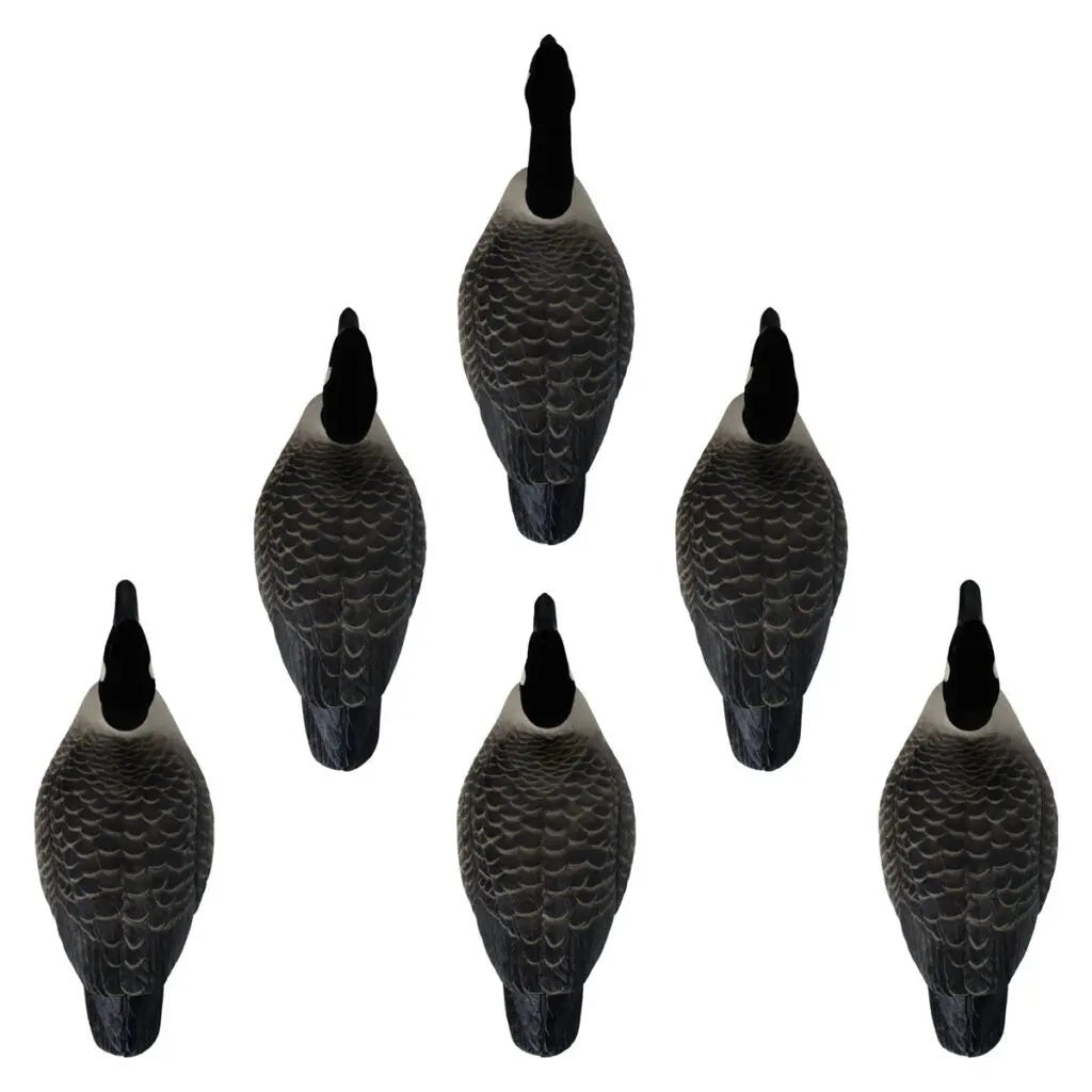 Rugged Series Canada Goose Floaters Touchdown Decoys – Flocked Head 6 Pack - SNOODBANGER customs