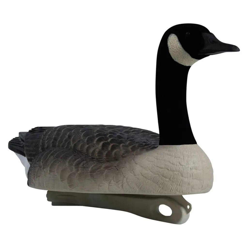 Rugged Series Canada Goose Floaters Touchdown Decoys – Flocked Head 6 Pack - SNOODBANGER customs