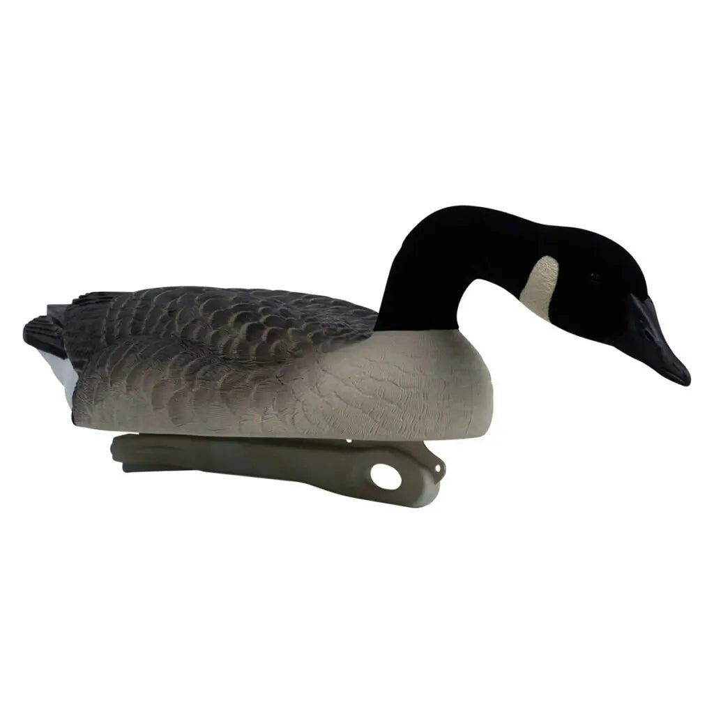 Rugged Series Canada Goose Floaters Touchdown Decoys – Flocked Head 6 Pack - SNOODBANGER customs