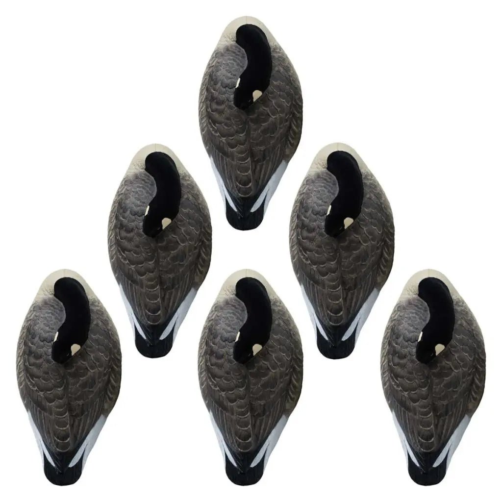 Rugged Series Canada Sleeper Shell Decoys – Flocked Head 6 Pack - SNOODBANGER customs
