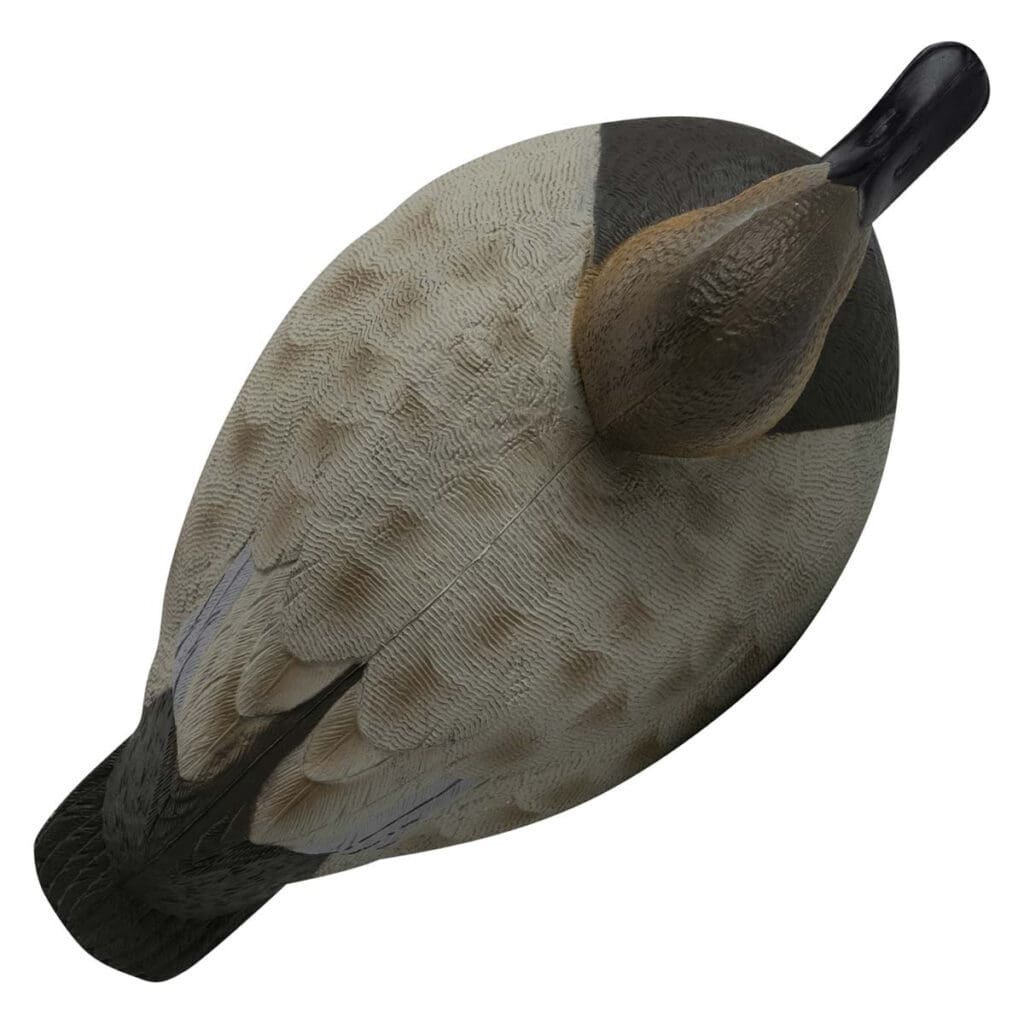 Rugged Series Canvasback Decoys – Foam Filled - SNOODBANGER customs
