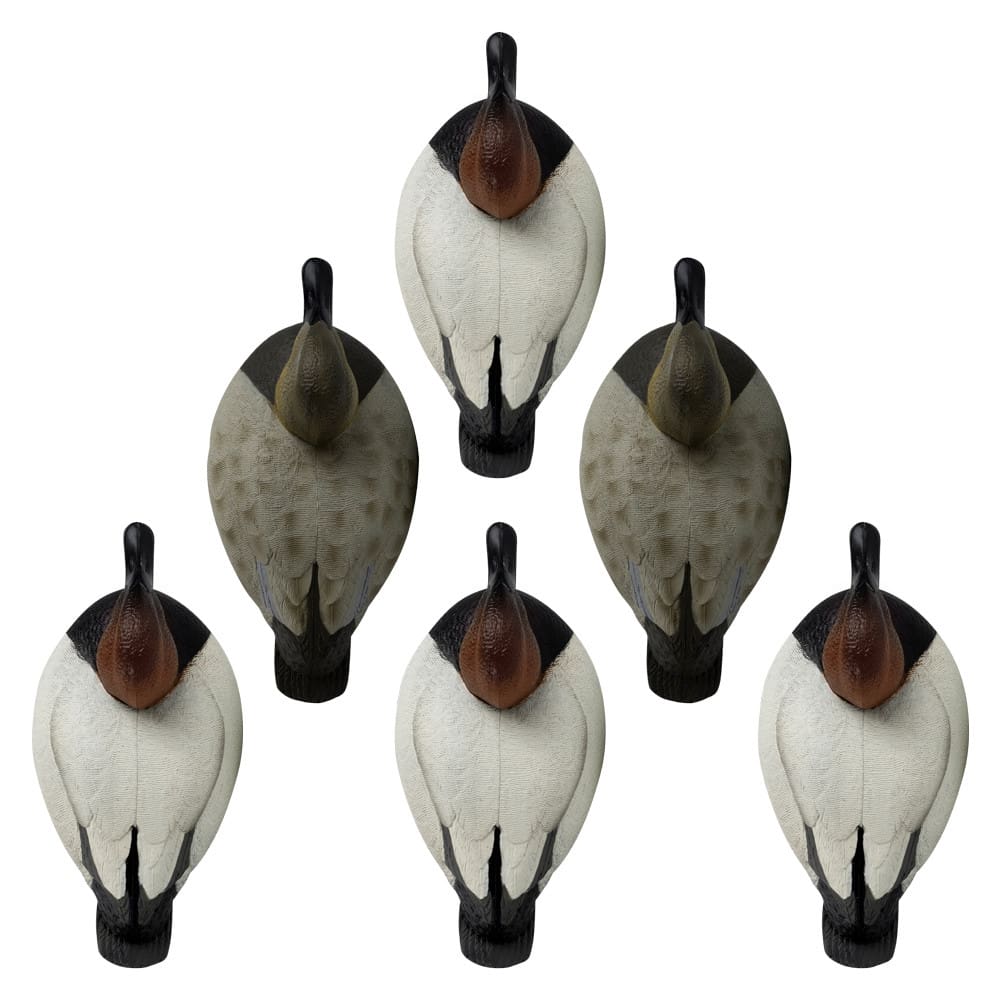 Rugged Series Canvasback Decoys – Foam Filled - SNOODBANGER customs