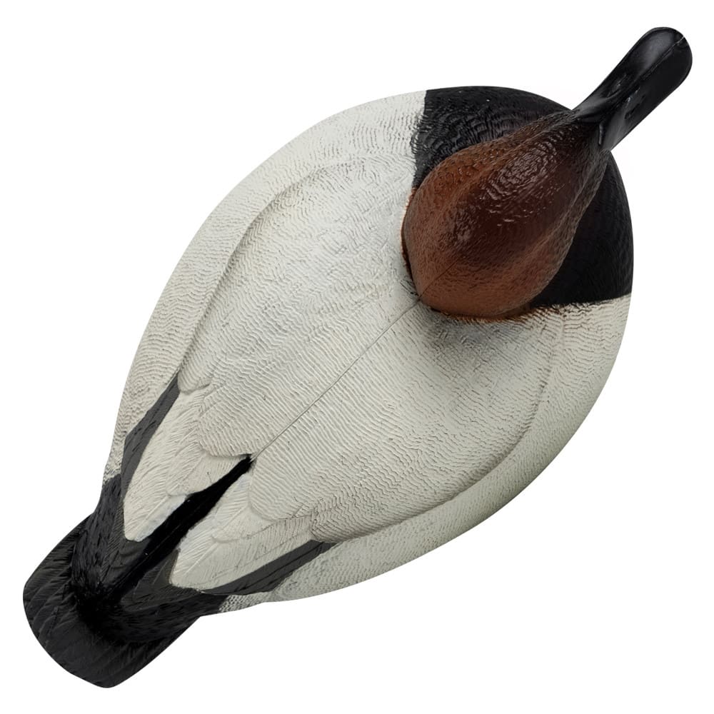 Rugged Series Canvasback Decoys – Foam Filled - SNOODBANGER customs