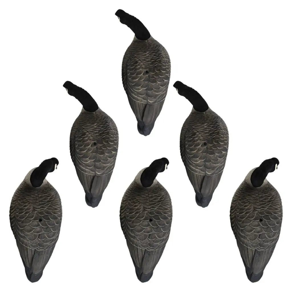 Rugged Series Full Body Canada Goose Feeder Decoys – Flocked Head - SNOODBANGER customs