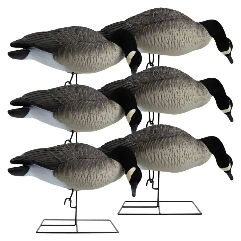 Rugged Series Full Body Canada Goose Feeder Decoys – Flocked Head - SNOODBANGER customs