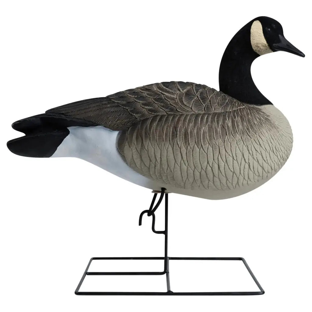 Rugged Series Full Body Canada Goose Touchdown Decoys – Flocked Head - SNOODBANGER customs