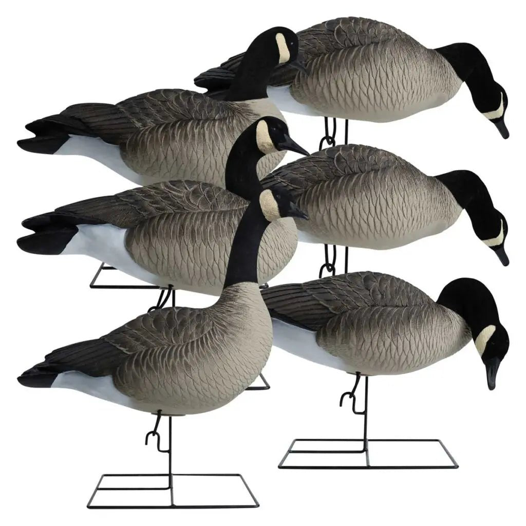 Rugged Series Full Body Canada Goose Touchdown Decoys – Flocked Head - SNOODBANGER customs