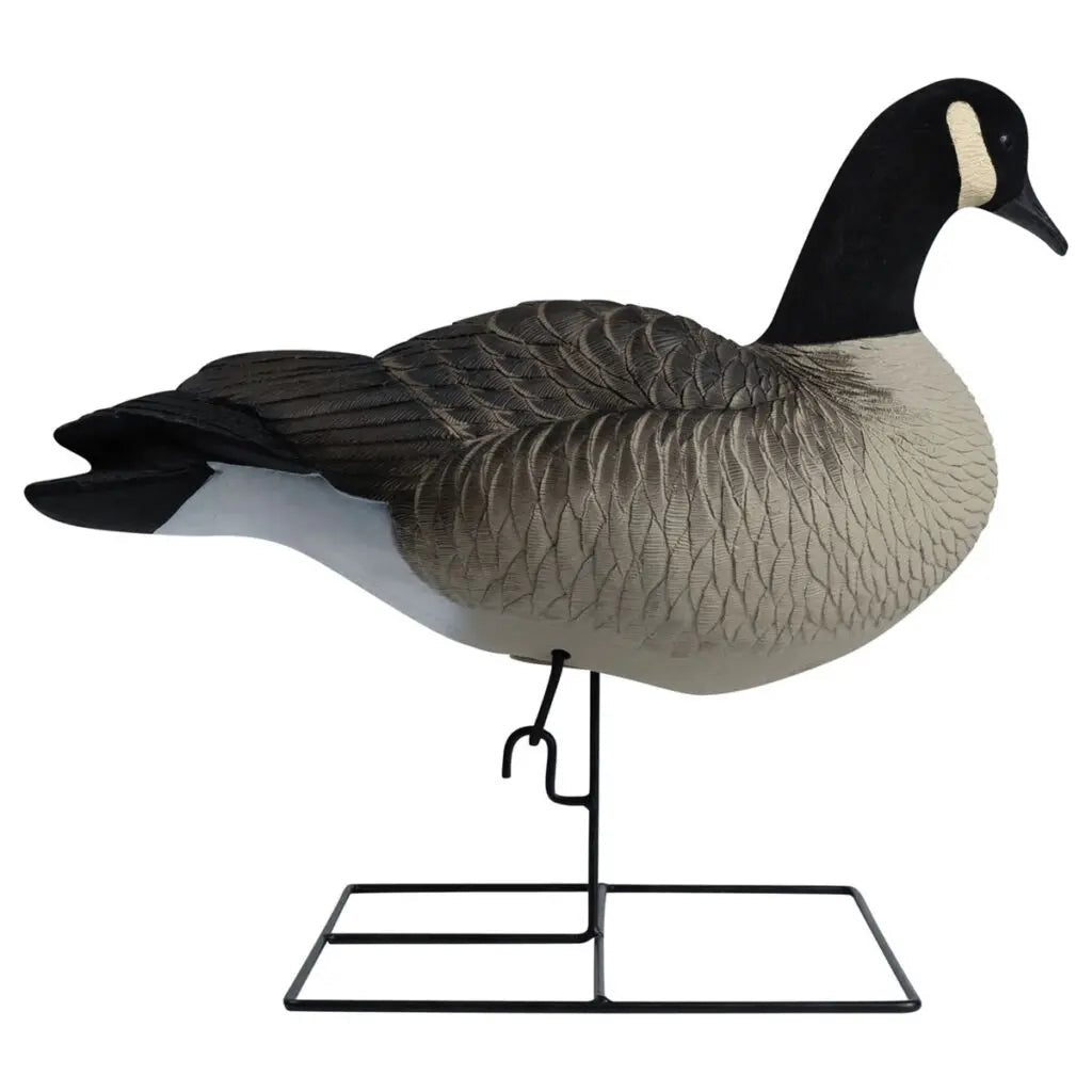 Rugged Series Full Body Canada Goose Touchdown Decoys – Flocked Head - SNOODBANGER customs