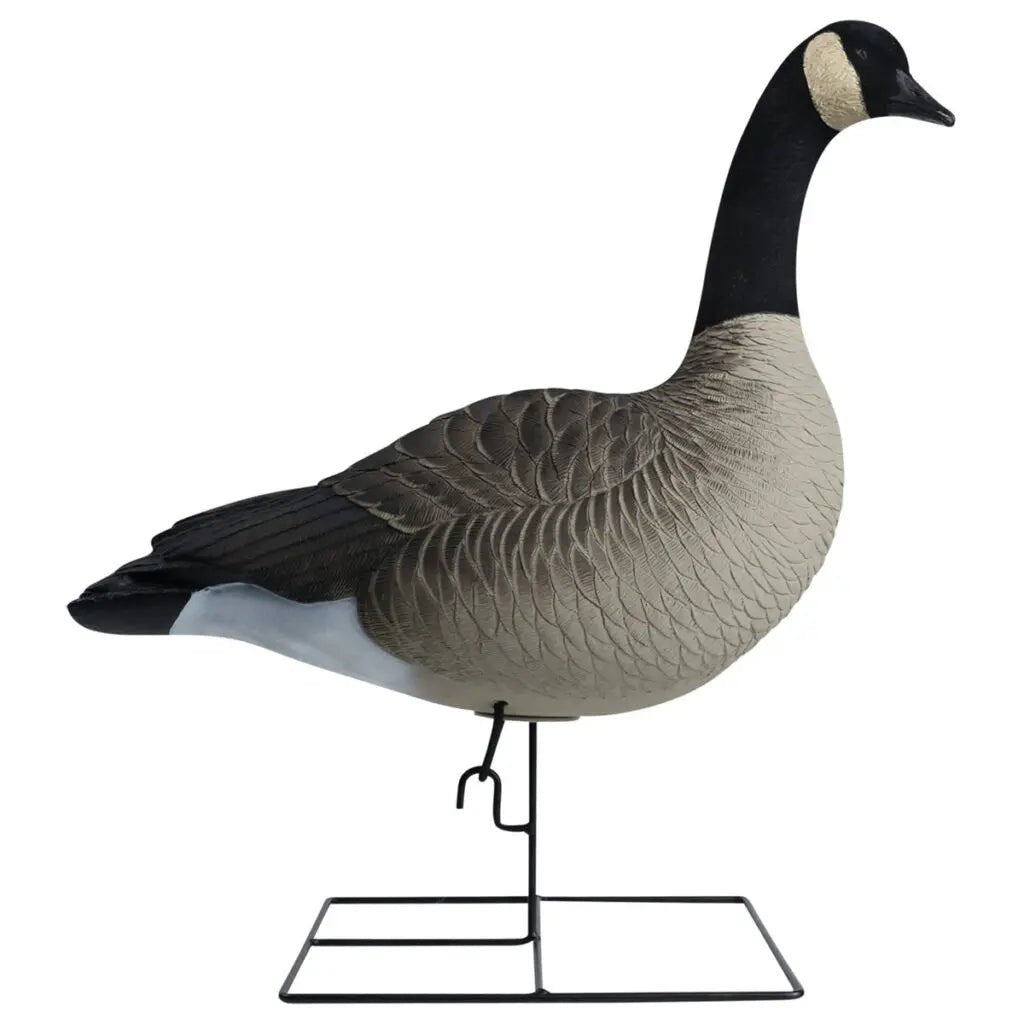 Rugged Series Full Body Canada Goose Touchdown Decoys – Flocked Head - SNOODBANGER customs