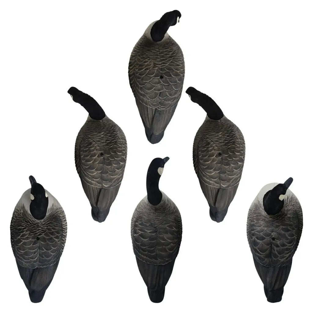 Rugged Series Full Body Canada Goose Touchdown Decoys – Flocked Head - SNOODBANGER customs