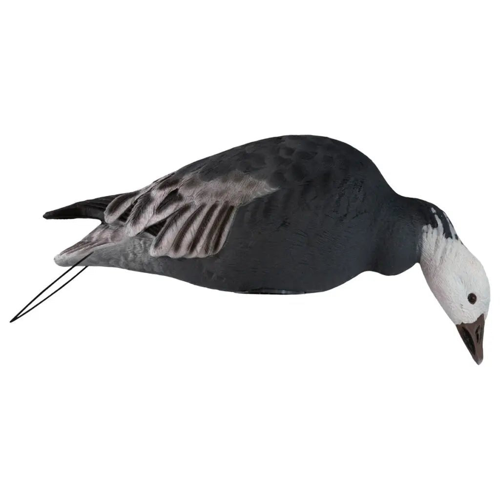 Rugged Series Full Body Snow and Blue Goose Touchdown Decoys 12-Pack - SNOODBANGER customs