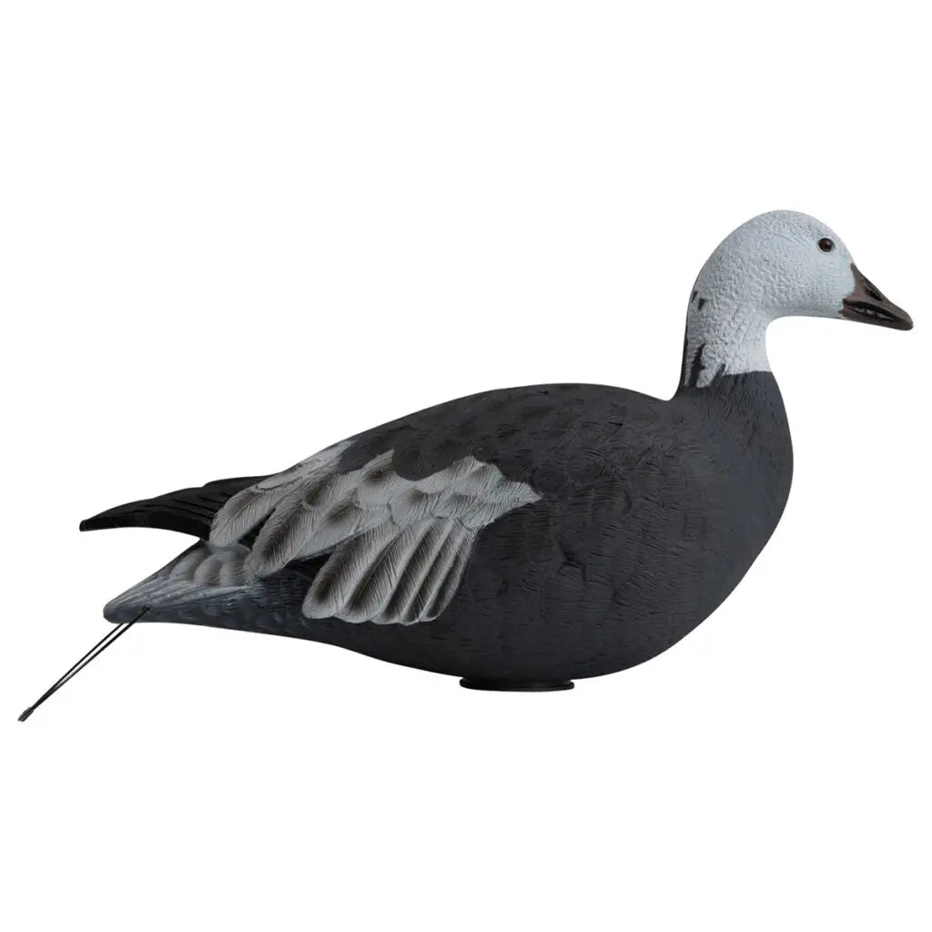 Rugged Series Full Body Snow and Blue Goose Touchdown Decoys 12-Pack - SNOODBANGER customs