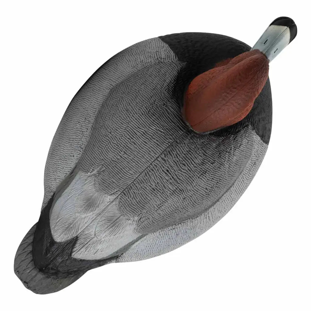 Rugged Series Redhead Decoys – Foam Filled - SNOODBANGER customs