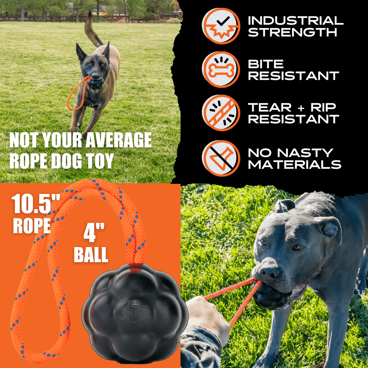 Rumble Ball with Rope (Rope May Vary) - SNOODBANGER customs