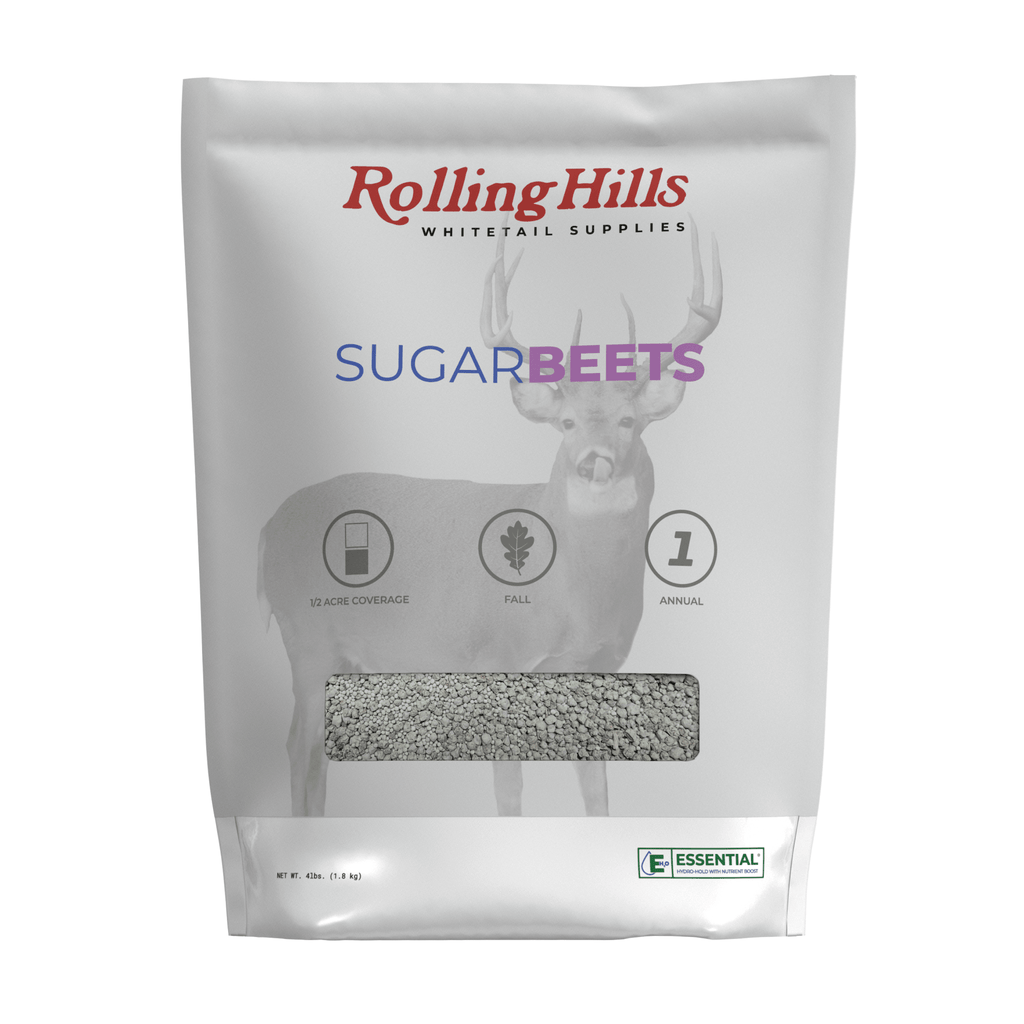 SugarBeets - SNOODBANGER customs