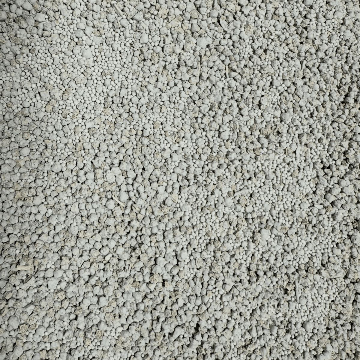 SugarBeets - SNOODBANGER customs