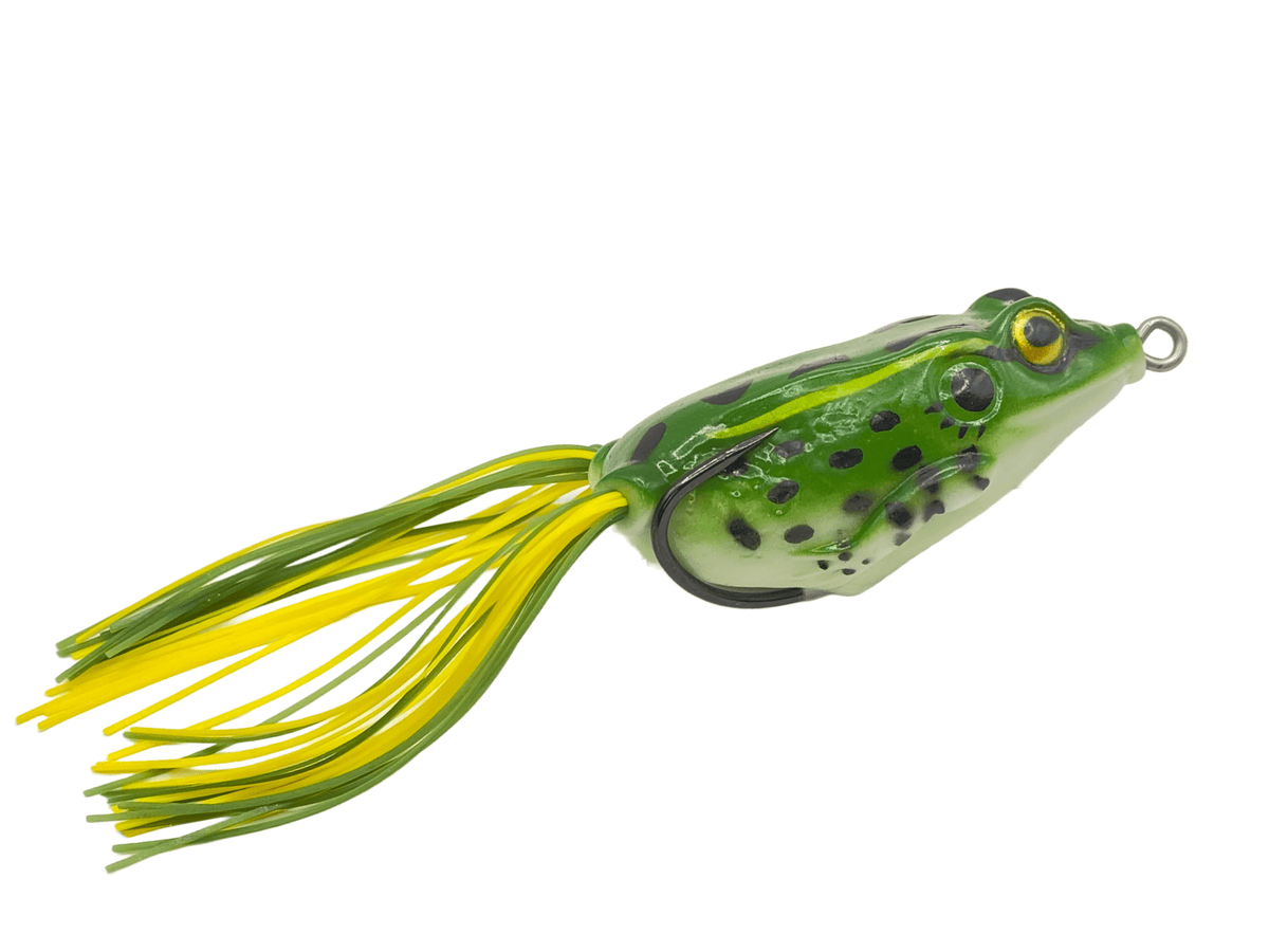 Voodoo Frog - SNOODBANGER customs