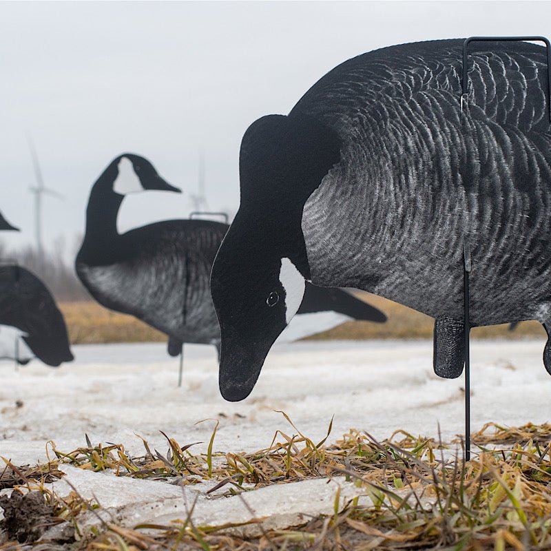 Xclipse Shadow Series Canada - SNOODBANGER customs